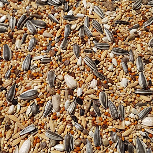 Supravit Großsittichfutter 5 kg - Körnermischung für Großsittiche - Großsittich Vogelfutter mit Sonnenblumenkerne - Körnerfutter für Sittiche - enthält wichtige Nährstoffe & Mineralien von Supravit