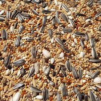 Supravit Großsittichfutter - Körnermischung für Großsittiche - Großsittich Vogelfutter mit Sonnenblumenkerne - Körnerfutter für Sittiche - enthält wichtige Nährstoffe & Mineralien Supravit Großsittichfutter - Körnermischung für Großsittiche - Großsittich Vogelfutter mit Sonnenblumenkerne - Körnerfutter für Sittiche - enthält wichtige Nährstoffe & Mineralien von Supravit