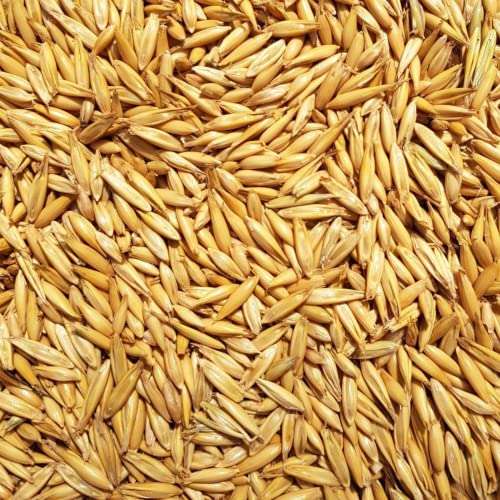 Supravit Hafer ganz 20kg | Frischer gelber Futterhafer natürlich & ungeschält für Pferd und Pony | staubfrei & riecht gut I Hafer Energie & Kraftfutter Pferd von Supravit