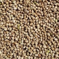 Supravit Hanf 2.5kg Wildvogelfutter Supravit Hanf 2.5kg Wildvogelfutter von Supravit