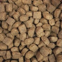 Supravit Hundefutter trocken getreidefrei schmackhaftes Trockenfutter Hund mit Lamm & Reis I Trockenfutter für Hunde mit hochwertigen Proteinen & gesunden Kohlenhydraten I gut verträglich 15 kg Supravit Hundefutter trocken getreidefrei schmackhaftes Trockenfutter Hund mit Lamm & Reis I Trockenfutter für Hunde mit hochwertigen Proteinen & gesunden Kohlenhydraten I gut verträglich 15 kg von Supravit