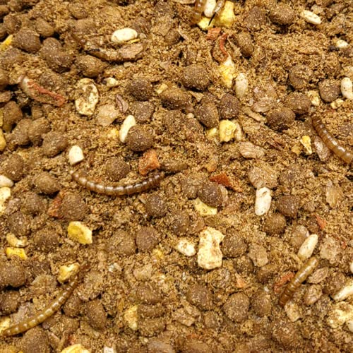 Supravit Igelfutter mit Insekten 5 kg - Speziell auf Igel abgestimmt mit Insekten, Mehlwürmer, Früchten & Gemüse - Hochwertiges Futter für Igel zum Überwintern von Supravit