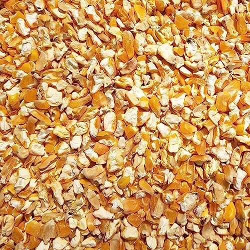 Supravit Maisbruch I 25kg getrockneter Mais I geschroteter Mais als Einzelfutter oder Mischfutter I hochverdaulicher Bruchmais als Vogelfutter, Hühnerfutter oder für Kaninchen & Pferde (2,5kg) von Supravit