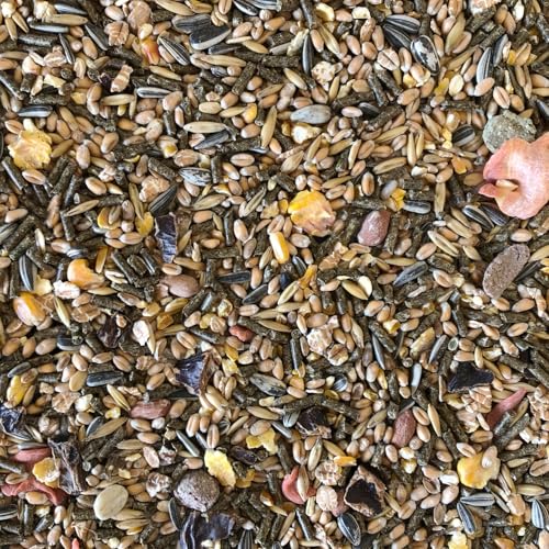 Supravit Nagerfutter I Kleintierfutter 2,5kg I Premium Futter - Mischung ideal für Hamster, Kaninchen, Zwergkaninchen, Meerschweinchen, Mäuse & Ratten I Alleinfuttermittel für Nager von Supravit