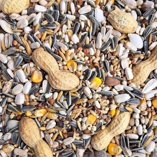Supravit Papageienfutter 2,5 kg - Futtermischung für Papageien Aller Arten von Supravit