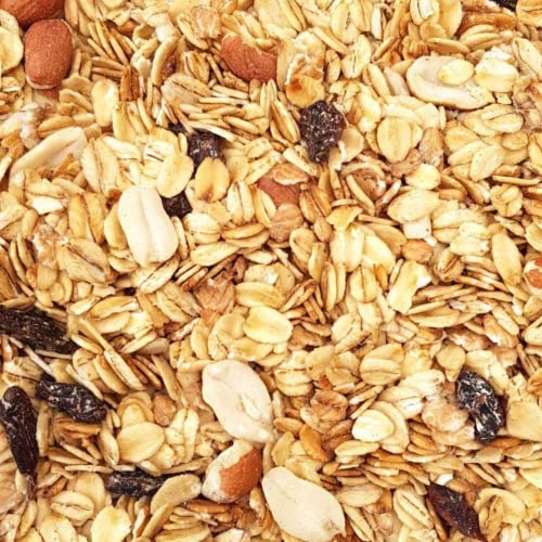 Supravit Premium Fettfutter für Wildvögel 5 kg - schmackhaftes Vogelfutter & Winterfutter für Vögel - fettreiches Wildvogelfutter als Energielieferant für alle Wildvögel im Winter von Supravit