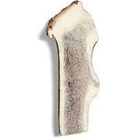Supravit Rothirsch-Geweihhälfte für Hunde – 100 % Natur, gespalten, Zahnpflege & Kauspaß M Supravit Rothirsch-Geweihhälfte für Hunde – 100 % Natur, gespalten, Zahnpflege & Kauspaß M von Supravit