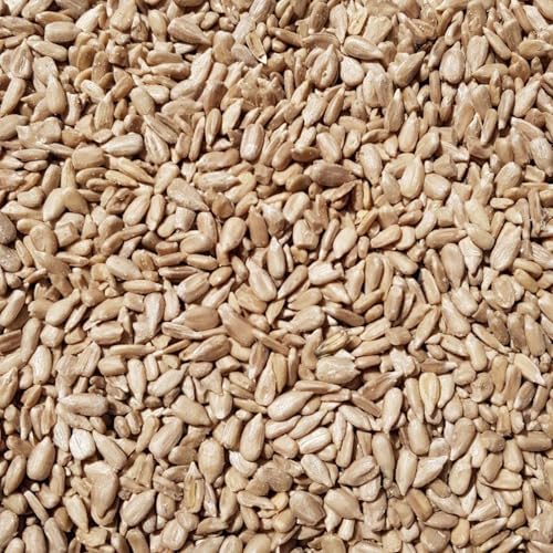 Supravit Sonnenblumenkerne Vogelfutter 25kg geschält I Frische ölhaltige Kerne aus besten Anbaugebieten | aus letzter Ernte | Ganzjahresfutter für heimische Wildvögel von Supravit
