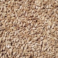 Supravit Sonnenblumenkerne geschält - Ganzjahresfutter für Wildvögel 2,5 kg Supravit Sonnenblumenkerne geschält - Ganzjahresfutter für Wildvögel 2,5 kg von Supravit