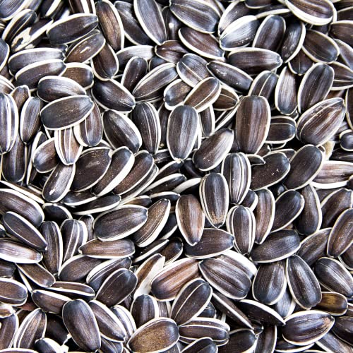 Supravit Sonnenblumenkerne I 1kg Beutel Vogelfutter I energiereiches Wildvogelfutter als Streufutter für das ganze Jahr von Supravit