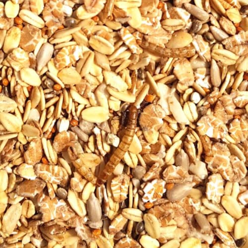 Supravit Spatzenfutter und Sperlingsfutter 5kg | Vogelfutter mit Mehlwürmern | Energie und Proteinreiches Wildvogelfutter Ganzjahresfutter Supravit Spatzenfutter und Sperlingsfutter 5kg | Vogelfutter mit Mehlwürmern | Energie und Proteinreiches Wildvogelfutter Ganzjahresfutter von Supravit