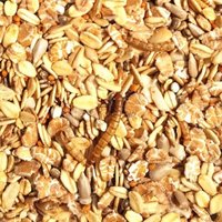 Supravit Spatzenfutter und Sperlingsfutter Vogelfutter mit Mehlwürmern | Energie und Proteinreiches Wildvogelfutter Ganzjahresfutter 5 kg Supravit Spatzenfutter und Sperlingsfutter Vogelfutter mit Mehlwürmern | Energie und Proteinreiches Wildvogelfutter Ganzjahresfutter 5 kg von Supravit