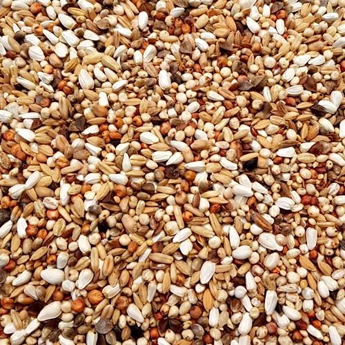Supravit Super Diät Taubenfutter 5kg ohne Mais für Tauben während der Reisesaison | Futter für Tauben für mehr Kondition | ausgewogene Körnermischung | Vogelfutter alle Tauben-Rassen von Supravit