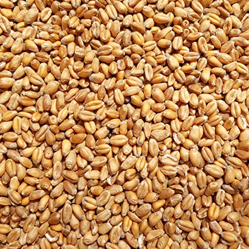 Supravit Weizen Futterweizen - 5kg aus regionaler Landwirtschaft - Ideales Einzelfuttermittel für Tauben, Vögel, Nager & Geflügel von Supravit