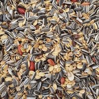 Supravit Winterfutter | Streufutter für Wildvögel mit Sonnenblumenkerne, Erdnüsse, Hanfsamen, Rosinen & mehr | energiereiches Wildvogelfutter im Winter Supravit Winterfutter | Streufutter für Wildvögel mit Sonnenblumenkerne, Erdnüsse, Hanfsamen, Rosinen & mehr | energiereiches Wildvogelfutter im Winter von Supravit