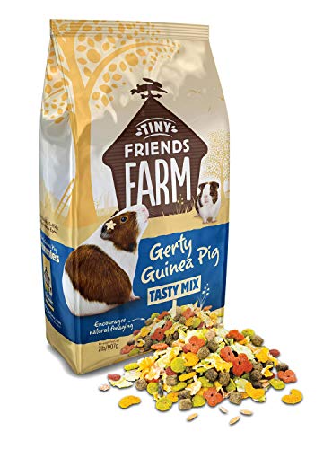 Supreme Gerty Scrummies Apple Strawberry Healthy Baked Bites for Guinea Pig 2lbs von Supreme Pet Foods
