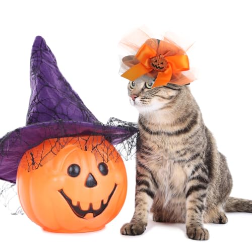 SUPVOX 1 Set Halloween-Kostüm für Hunde und Katzen, Kürbis, Hexenhut, Haustier-Halloween-Tutu-Rock für Hunde und Katzen, Party-Dekoration von Supvox