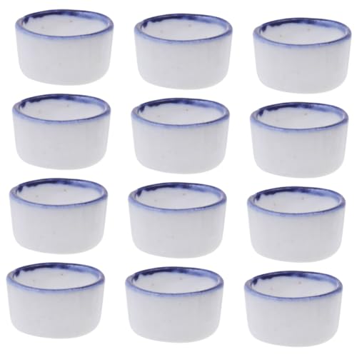 SUPVOX 12 Stück Spinnen Vogelbad Winzige Wasserschale Winzige Schale Für Reptilien Mikro Wasserschale Spinne Mini Wasserschale Spinnen Mikro Wasserschale Mini von Supvox