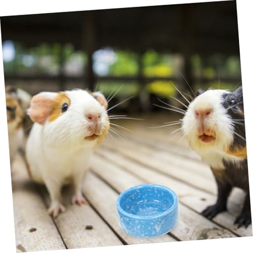 SUPVOX 2 Stück Keramik Futternapf für Kleintiere Stabile Bruchsichere Schale mit Umkippschutz Geeignet für Hamster Chinchillas Kaninchen Lebensmittelecht und Einfach zu Reinigen SUPVOX 2 Stück Keramik Futternapf für Kleintiere Stabile Bruchsichere Schale mit Umkippschutz Geeignet für Hamster Chinchillas Kaninchen Lebensmittelecht und Einfach zu Reinigen von Supvox