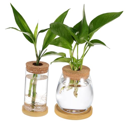 SUPVOX 2Stücke Pflanztöpfe mit Korkdeckel Hydroponische Terrarium für Pflanzenvermehrung Tablett und Einfacher Pflege für Kleine Pflanzen Jedem von Supvox