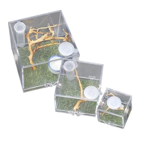SUPVOX 3 Stück Transparente Springende Spinnen Zuchtbox mit Futteröffnung Leichter Kunststoff Insekten und Reptilien Haltungsbehälter Sichtbares Terrarium für Kleine Haustiere und von Supvox