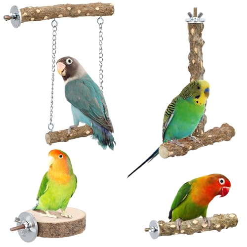 SUPVOX 4 Stück Vogelsitzstangen: Vogelsitzstange aus Holz – Spielzeug für Papageien, Sitzstange mit Schaukel, Vogelkäfig, Zubehör für Sittiche, Nymphensittiche, Nymphensittiche, Lovebirds SUPVOX 4 Stück Vogelsitzstangen: Vogelsitzstange aus Holz – Spielzeug für Papageien, Sitzstange mit Schaukel, Vogelkäfig, Zubehör für Sittiche, Nymphensittiche, Nymphensittiche, Lovebirds von Supvox