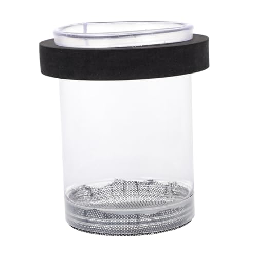 SUPVOX Aquarium Fischzuchtbox mit Saugnäpfen Transparente Isolation Box für Fischaufzucht und Brutfischschutz Langlebiger Installieren Sicheres Futter und Aufzuchtbecken für Guppy Betta von Supvox