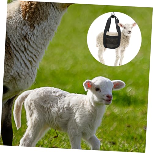 SUPVOX Atmungsaktive Welpen wiegeschlinge mit Zwei Griffen Robustes Hebegeschirr für Kleine Hunde Kälber Ziegen und Katzen Praktisches Tragetuch für Sicheres Wiegen und Transportieren SUPVOX Atmungsaktive Welpen wiegeschlinge mit Zwei Griffen Robustes Hebegeschirr für Kleine Hunde Kälber Ziegen und Katzen Praktisches Tragetuch für Sicheres Wiegen und Transportieren von Supvox