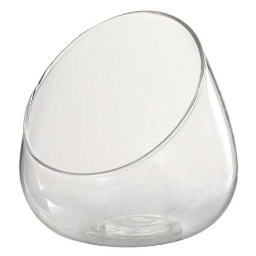 SUPVOX Glas Terrarium Flasche Schräg Mund Mikrolandschaft Ökologische Flasche Moss Landscape Container Wiederverwendbar für Pflanzen Dekoration und Garten SUPVOX Glas Terrarium Flasche Schräg Mund Mikrolandschaft Ökologische Flasche Moss Landscape Container Wiederverwendbar für Pflanzen Dekoration und Garten von Supvox