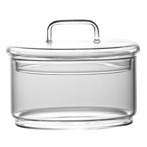 SUPVOX Glas Terrarium Flasche mit Deckel Leere Ökologische Landschaftsflasche für Moos DIY Zimmerpflanzen Deko Kleine Transparente Vase für Wohnzimmer Büro und Balkon von Supvox