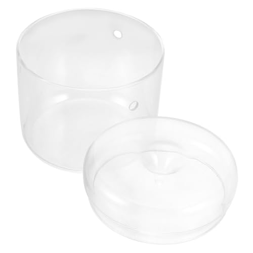 SUPVOX Glas Terrarium mit Ökologischem Moos mikrolandschafts Design Langlebiger Pflanzflaschengarten für Wohnzimmer Büro Innovatives Pflanzen Display Vielseitiger Dekorationsbehälter von Supvox