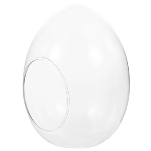 SUPVOX Glasflasche für Pflanzen Transparentes Glas Glatte Oberfläche DIY Micro Landschaftsbehälter für Moos und Blumen Dekorativ für Zuhause Garten Büro und Terrasse von Supvox