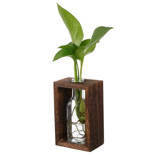 SUPVOX Hydroponische Pflanzen Vermehrungsstation mit Transparentem Glas Terrarium und Robustem Holzgestell Dekorative Pflanzenvase für Tischdekoration Vielseitig Einsetzbar von Supvox