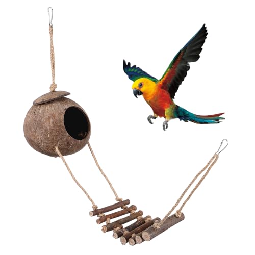 SUPVOX Kleintier Versteck Höhle mit Leiter Natürliche Kokosnuss Terrarium Dekoration für Schildkröten Eidechsen und Frösche Gemütlicher Unterschlupf für Reptilien und Kleintiere SUPVOX Kleintier Versteck Höhle mit Leiter Natürliche Kokosnuss Terrarium Dekoration für Schildkröten Eidechsen und Frösche Gemütlicher Unterschlupf für Reptilien und Kleintiere von Supvox
