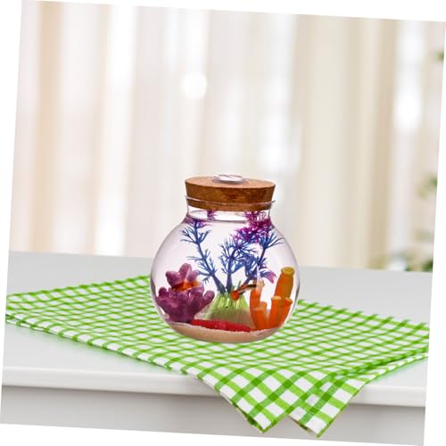SUPVOX LED Glasflasche mit LED Weißlicht Transparente Dekorative Vase für DIY Mikrolandschaft Klare Sicht Aquarium Kreatives Pflanzglas für Micro Landscape Flaschengarten Pflanzterrarium SUPVOX LED Glasflasche mit LED Weißlicht Transparente Dekorative Vase für DIY Mikrolandschaft Klare Sicht Aquarium Kreatives Pflanzglas für Micro Landscape Flaschengarten Pflanzterrarium von Supvox
