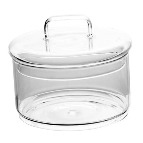 SUPVOX Micro Landscape Ecological Glasflasche mit Deckel DIY Terrarium Jar für Moos Pflanzen Transparente Ökologische Flasche zur Zimmerpflanzen deko Robustes Glas für Garten und SUPVOX Micro Landscape Ecological Glasflasche mit Deckel DIY Terrarium Jar für Moos Pflanzen Transparente Ökologische Flasche zur Zimmerpflanzen deko Robustes Glas für Garten und von Supvox