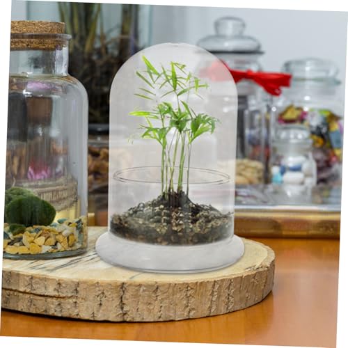 SUPVOX Micro Landscape Terrarium Glasgefäß Höhe Transparentes Terrarium für DIY Moos Pflanzen Vielseitiger Kompakter Pflanzbehälter für Schreibtisch und Wohnraumdekoration von Supvox