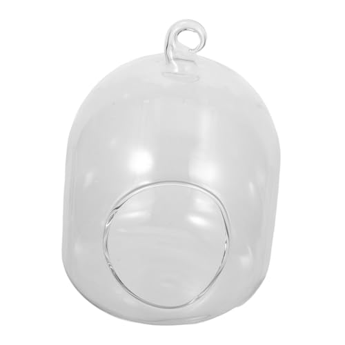 SUPVOX Mini Terrarium Container Kompakter Luftbefeuchteter Pflanzentopf für Büro und Wohnraumdekoration Platzsparend Langlebig Tragbar Pflegeleicht für Sukkulenten und Moos SUPVOX Mini Terrarium Container Kompakter Luftbefeuchteter Pflanzentopf für Büro und Wohnraumdekoration Platzsparend Langlebig Tragbar Pflegeleicht für Sukkulenten und Moos von Supvox