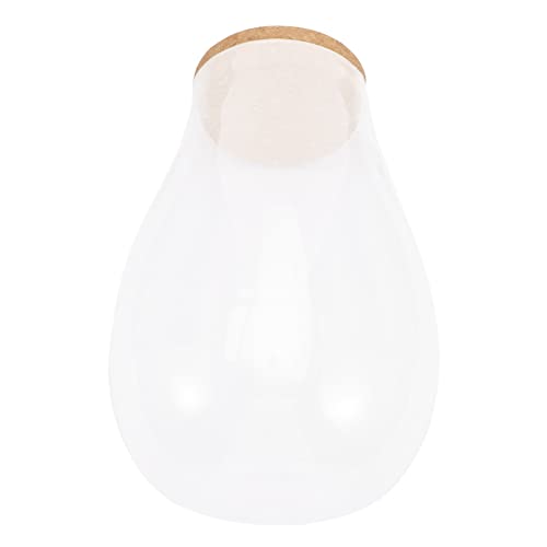 SUPVOX Moos Flaschenpflanzen Tankdekorationen Zimmerpflanzen Landschaftsflasche Terrariumflasche Pflanzenvase Für Den Außenbereich Kleines Fisch Terrariumglas SUPVOX Moos Flaschenpflanzen Tankdekorationen Zimmerpflanzen Landschaftsflasche Terrariumflasche Pflanzenvase Für Den Außenbereich Kleines Fisch Terrariumglas von Supvox