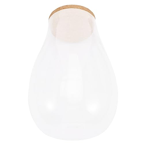 SUPVOX Moos-öko-Flasche Landschaft Flasche Pflanze Terrarium Glas Pflanzgefäße Für Zimmerpflanzen Mikrolandschaft Terrarienflasche Fisch Terrarienglas Groß Klein Mini Glastank Hölzern von Supvox
