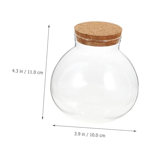 SUPVOX Rundes Glas ökosystem fläschchen mit Korken Transparente Micro Landschaft DIY Pflanzflasche für Tischdeko Mikrolandschaft Terrarium für Bromelien und Farne SUPVOX Rundes Glas ökosystem fläschchen mit Korken Transparente Micro Landschaft DIY Pflanzflasche für Tischdeko Mikrolandschaft Terrarium für Bromelien und Farne von Supvox