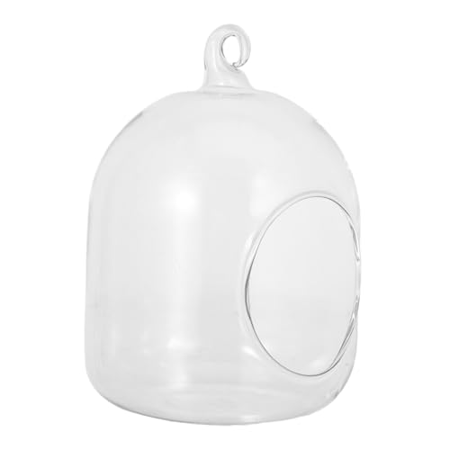 SUPVOX Terrarium für Pflanzen Klein Langlebig Leichtes Mini Glasgefäß für Sukkulenten Moos und Luftpflanzen Vielseitige Tischdeko für Zuhause und Büro Einfache Pflege Modernes Design SUPVOX Terrarium für Pflanzen Klein Langlebig Leichtes Mini Glasgefäß für Sukkulenten Moos und Luftpflanzen Vielseitige Tischdeko für Zuhause und Büro Einfache Pflege Modernes Design von Supvox