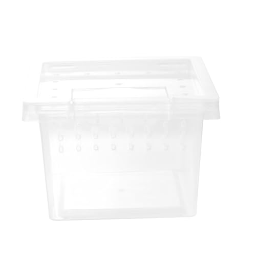 SUPVOX Transparente Kunststoff Reptilienzuchtbox mit Belüftungslöchern Mittlere Fütterungsbox für Spinnen Eidechsen und Insekten Tragbares Terrarium für Artgerechte Haltung und Einfache SUPVOX Transparente Kunststoff Reptilienzuchtbox mit Belüftungslöchern Mittlere Fütterungsbox für Spinnen Eidechsen und Insekten Tragbares Terrarium für Artgerechte Haltung und Einfache von Supvox