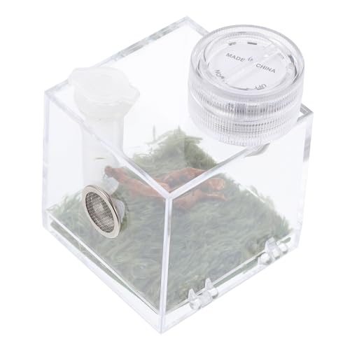 SUPVOX Transparente Spinnen Habitatbox mit Lampe Hochwertiger Aufbewahrungskäfig für Spring und Käferarten Füttern und Beobachten Teiliges mit Mini Lampe SUPVOX Transparente Spinnen Habitatbox mit Lampe Hochwertiger Aufbewahrungskäfig für Spring und Käferarten Füttern und Beobachten Teiliges mit Mini Lampe von Supvox