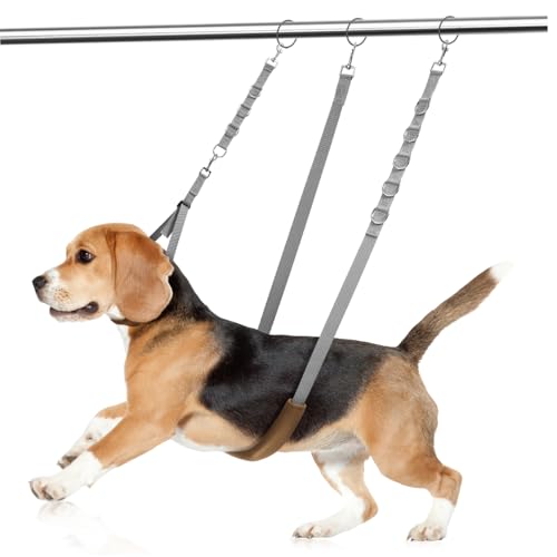 SUPVOX Verstellbares Hundepflege Set Teilig aus Strapazierfähigem mit Drehbarem Clip Einstellbare Hundebauchgurte für Sicheres Baden und Styling Mittelgroßer Hunde SUPVOX Verstellbares Hundepflege Set Teilig aus Strapazierfähigem mit Drehbarem Clip Einstellbare Hundebauchgurte für Sicheres Baden und Styling Mittelgroßer Hunde von Supvox