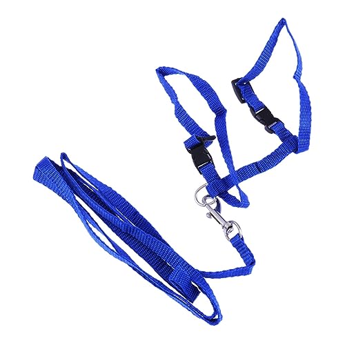SUPVOX Verstellbares Katzengeschirr mit Leine Blau Leichtes Nylon Brustgeschirr für Katzen Sicheres Katzenzubehör für Kontrollierte Bewegung und Outdoor erkundung Geeignet für Drinnen von Supvox