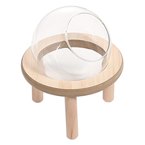 Supvox 1satz Hamster Sandbad Box Aus Multifunktionale Badewanne Für Kleine Haustiere Als Toilette Oder Sandbad Leicht Zu Reinigen Für Zwerghamster Und Rennmäuse Supvox 1satz Hamster Sandbad Box Aus Multifunktionale Badewanne Für Kleine Haustiere Als Toilette Oder Sandbad Leicht Zu Reinigen Für Zwerghamster Und Rennmäuse von Supvox