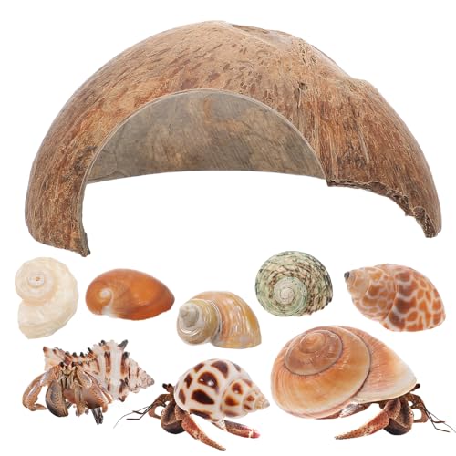 Supvox Kokosnuss-versteck-Set Reptilienversteck Fischversteck Höhle Krabbenmuschel Muschelschale Für Die Aquariumdekoration Supvox Kokosnuss-versteck-Set Reptilienversteck Fischversteck Höhle Krabbenmuschel Muschelschale Für Die Aquariumdekoration von Supvox