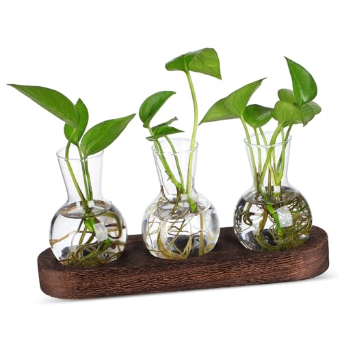 Supvox 1 Satz Hydroponische Vase Tablet-ständer Dekorationen Für Aquarien Vasen Korb Ausbreitungsstationen Kreative Vase Tischvase Blumenaufsätze Für Tische Transparent Hölzern von Supvox