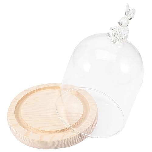 Supvox 1 Satz Kaninchen Abdeckung Blumendekorationen Kuchen Behälter Pflanzendekor Papierbecher Präsentationsplatte mit Kuppel Party-Glaskuppel-Schmuck Haushalt Pappbecher Glashaube von Supvox